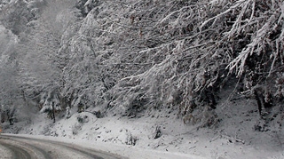 Avertizare meteo: ninsori si vant puternic in aproape toata tara