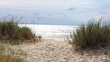 Plajă gratis, în România! Aici poţi veni fără să dai un leu, sunt hectare de plajă