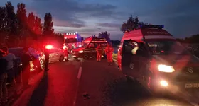 Galerie foto - poza 4