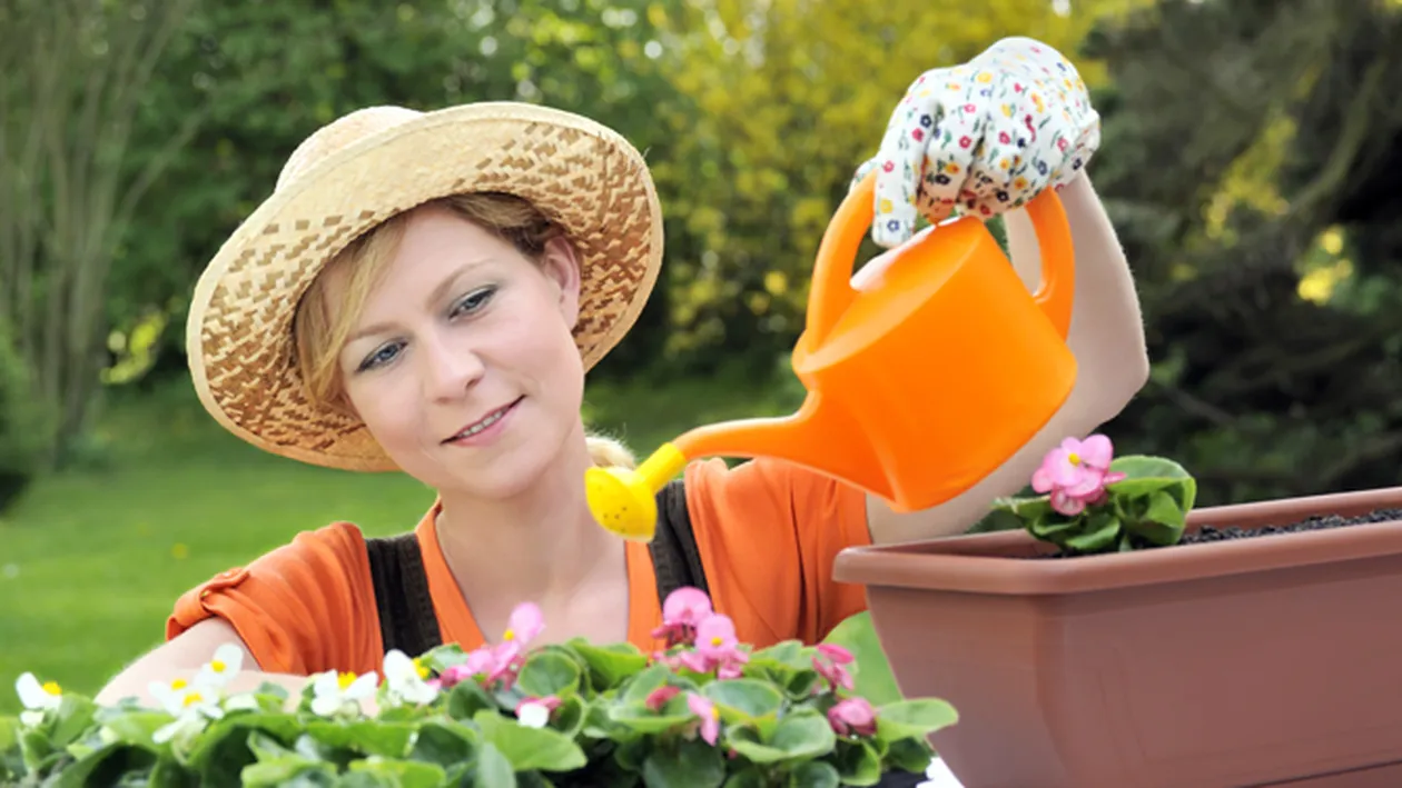 Sfaturi pentru ingrijirea florilor primavara