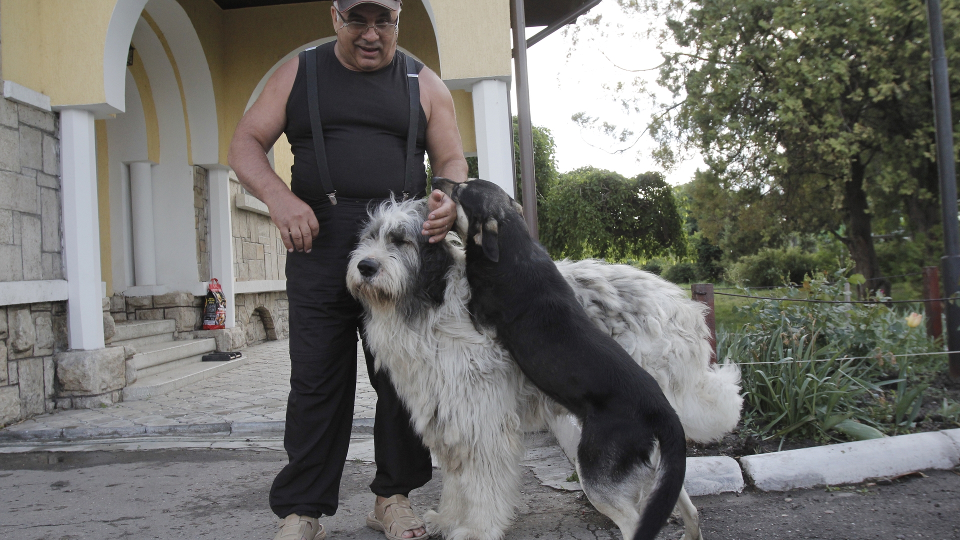 Inamicul public nr. 1 din Romania anilor ’90 ajunge din nou in sala de judecata. Trutulescu nu se teme de nimic