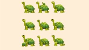 TEST IQ | Câte broaște țestoase sunt, de fapt, în această imagine?