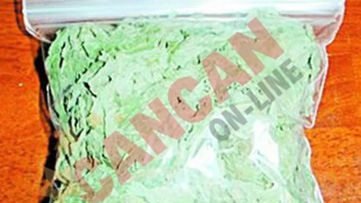 Trei sferturi dintre dependentii de etnobotanice din Buzau sunt elevi!