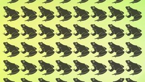 Test de inteligență | Care broască este diferită de toate celelalte?