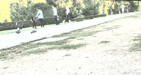 Galerie foto - poza 1