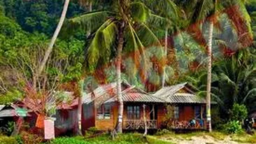 Cornel Pasat, castigatorul competitiei Rataciti in Panama?