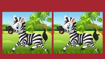 Test de perspicacitate | Identificați toate diferențele dintre aceste două zebre. Câte ați găsit?