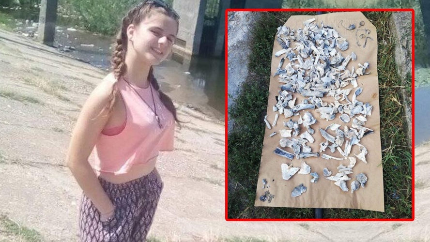 Lovitură de teatru în cazul crimelor de la Caracal! Alexandra trăiește?! "Nu se confirmă existența niciunui raport de la INML care să ateste că există ADN-ul din oase este al ei"