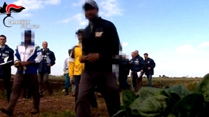 Coșmarul unei românce care a fost exploatată la muncă în Italia: ”Dacă aș fi știut că asta e viața în Italia, nu aș fi venit”