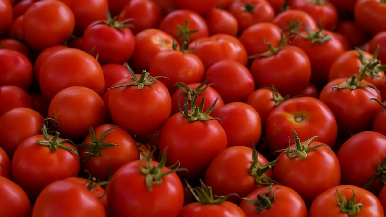 Ce a descoperit un bărbat din Buzău într-o roşie cumpărată din supermarket: "A crezut că sunt viermi"