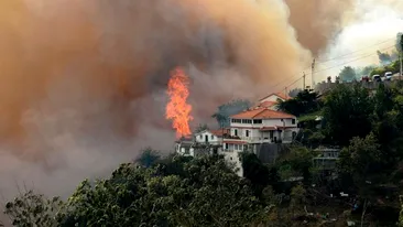 
Zeci de morţi în urma incendiului din Portugalia. ”Cea mai mare tragedie”
