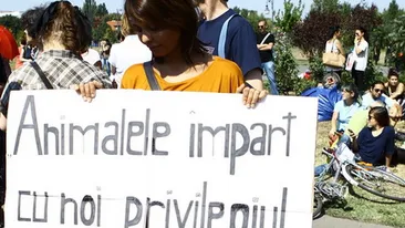 Amintiri din spital ale Andreei Popescu: “Tata si mama imi citeau zilnic despre catei si imi spuneau ca sunt animale bune!”