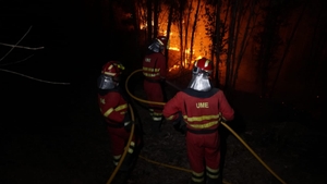 Incendii masive de vegetație în Spania! 2.500 de persoane au fost evacuate dintr-o regiune unde muncesc mii de români