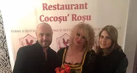 Galerie foto - poza 2