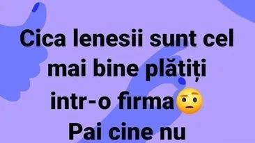 BANC | De ce sunt leneșii cel mai bine plătiți într-o firmă