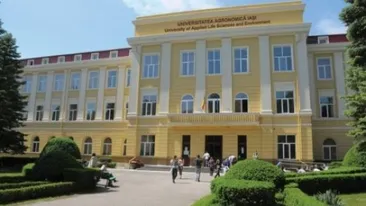Sex cu un afacerist de dragul unor note de trecere. Ce a păţit o studentă din Iaşi care nu se descurca la şcoală