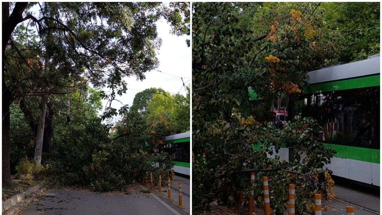 Un copac a căzut peste un tramvai, în Capitală! Traficul a fost restricționat