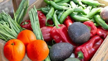 Leguma care are mai multă vitamina C decât 3 portocale la un loc. E bună în sezonul gripei