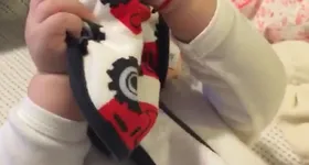 Galerie foto - poza 4