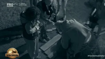 Scene de panică la Ferma Vedetelor! Unul dintre concurenți s-a accidentat și a leșinat: L-am văzut cum i s-au încleștat degetele și s-a albit la față