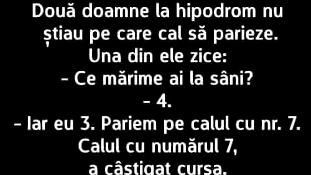 BANC | Două doamne, la hipodrom, nu știau pe ce cal să parieze: Ce mărime ai la sâni?