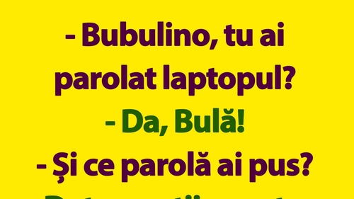 BANC | Bulă, Bubulina și parola de la laptop
