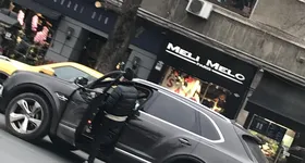 Galerie foto - poza 4