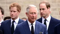 Regele Charles a izbucnit în lacrimi după ce Prinții William și Harry s-au reunit. Suveranul n-a mai rezistat!