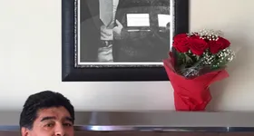 Galerie foto - poza 4