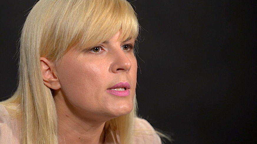 Decizia ÎCCJ în dosarul "Gala Bute", în care e judecată Udrea