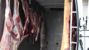 REVOLTATOR Carne de la lesuri de animale, vanduta intr-un magazin din Bucuresti