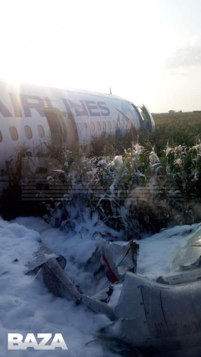 Imagini dramatice filmate din avionul care a aterizat forțat într-un lan de porumb VIDEO