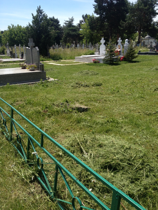 Mormântul Ilenei Ciuculete a fost plasat la distanţă de celelalte, pentru a asigura discreţia necesară familiei