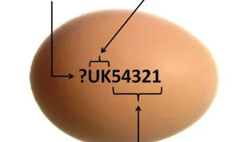 Puțini români știu acest lucru! Ce semnifică fiecare cifră din codul de marcat de pe ouă
