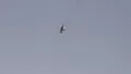 Un MiG-29 ucrainean bombardează poziții rusești folosind bombe ghidate americane. Imagini spectaculoase