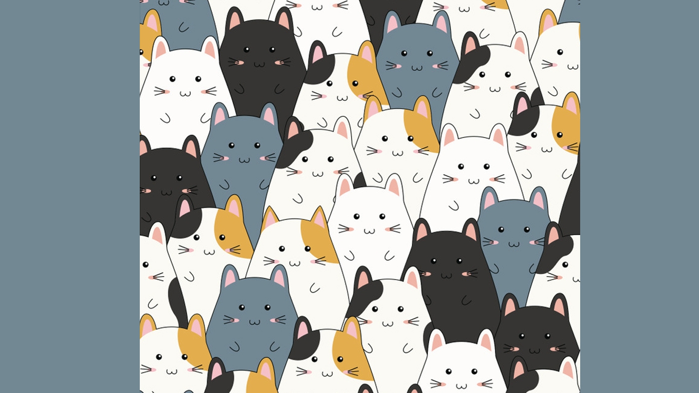Test de perspicacitate | Găsiți pisica ascunsă printre hamsteri!
