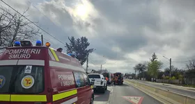 Galerie foto - poza 4