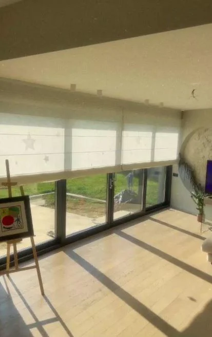 Cum arată vila de lux în care locuiește Alina Pușcaș! Construcția casei impunătoare a durat 4 ani
