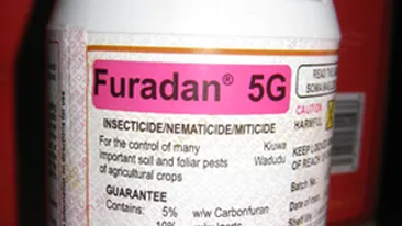 Barbatul care i-a vandut Furadan Madalinei Manole, eliberat