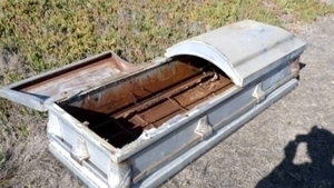 Ipotaza socanta! Fratele fetitei de 6 ani, disparuta din sicriu, sustine ca sora sa traieste!