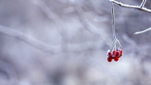 Azi s-au înregistrat primele temperaturi sub 0 grade Celsius din această toamnă!
