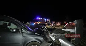 Galerie foto - poza 2