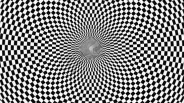 Iluzie optică virală | Exclusiv pentru genii: Ce animal se ascunde în această imagine?