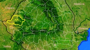 Rezultate Evaluarea Națională 2019 (Capacitate) Arad