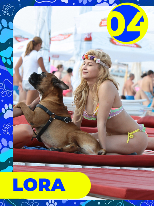 Top 25 vedete care și-au etalat costumele de baie, dar cățeii lor au făcut senzaţie! Delia, Bianca Drăgușanu sau Lora, eclipsate de patrupezi la malul mării
