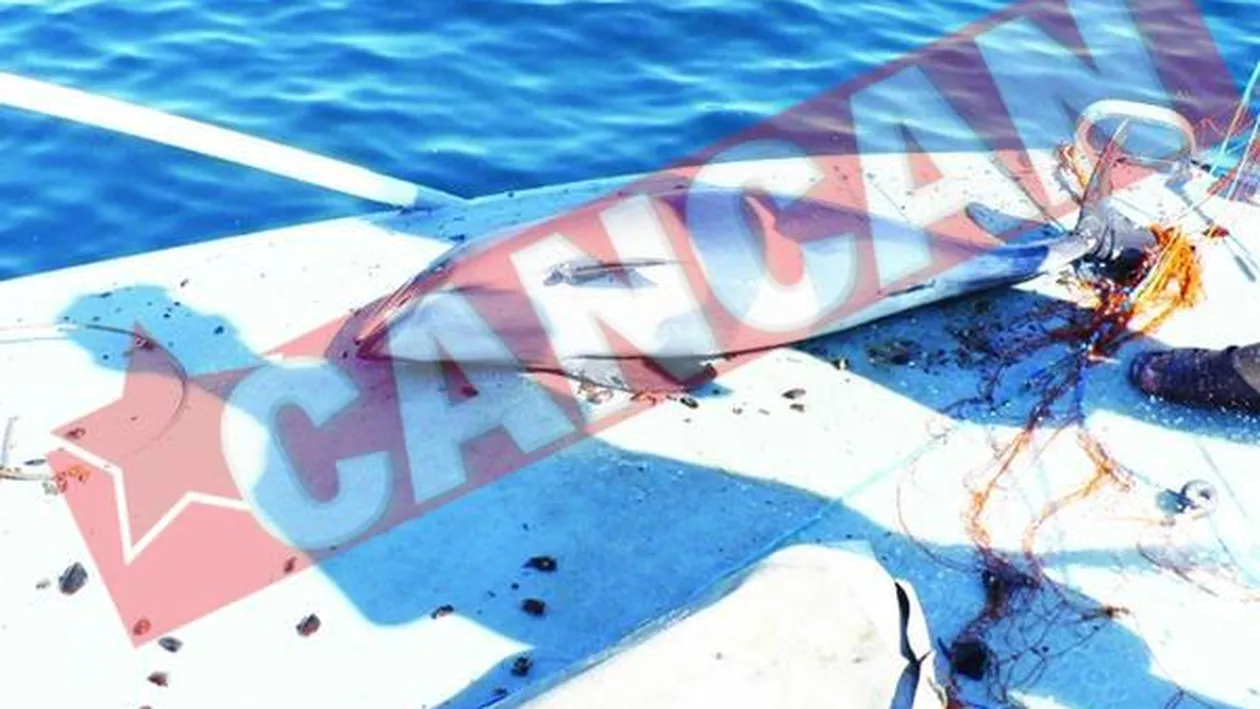 Trei tone de peste confiscat