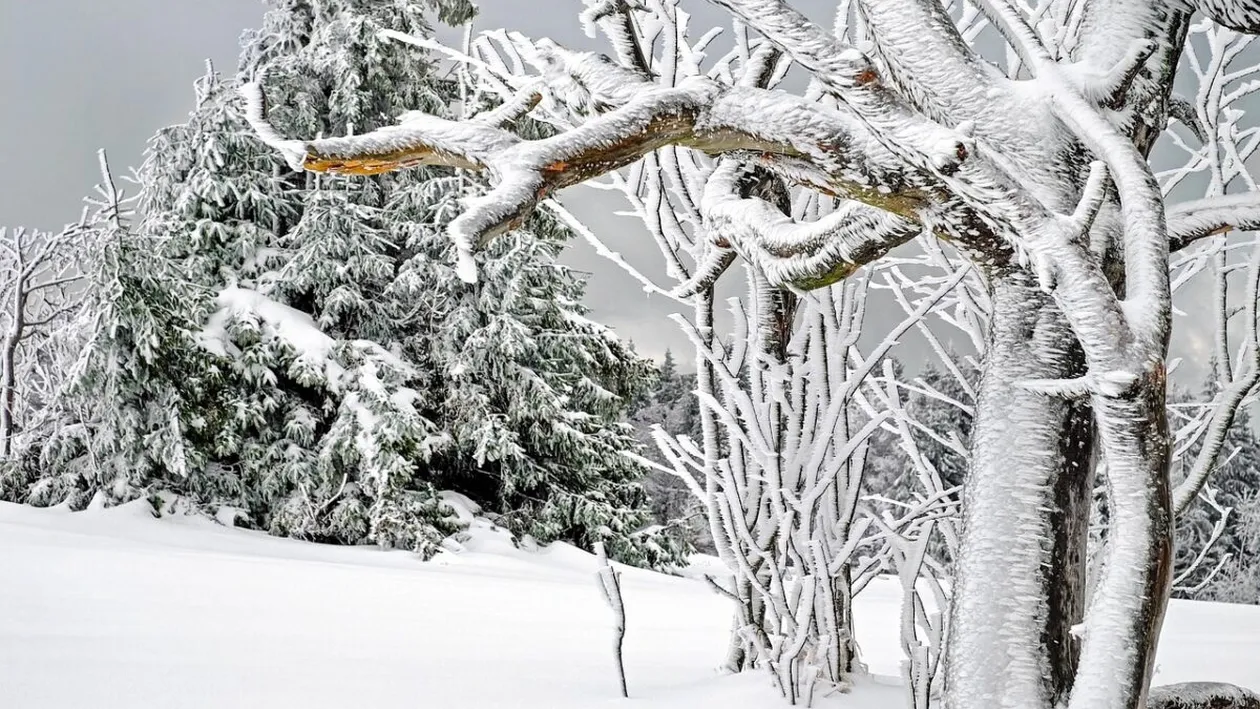 ANM a făcut anunțul. Când și unde va apărea prima zăpadă din iarna aceasta