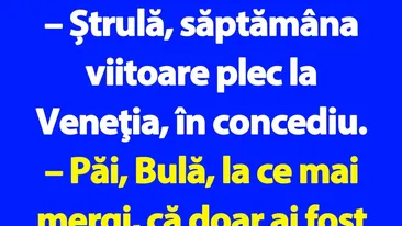 BANC | Bulă se duce în concediu în Veneția