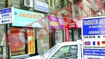 Translatorii trebuie sa aiba recomandare de la un cadru universitar