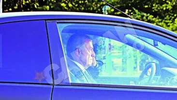 Se afiseaza in oras cu bestia compacta